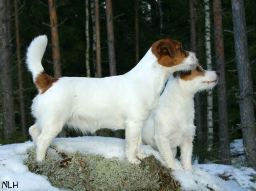 2008 02 17 Asema.jpg - Lilja & Inka tiineyden puolessa välissä